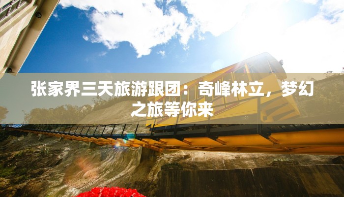 张家界三天旅游跟团:奇峰林立,梦幻之旅等你来 张家界三天旅游跟团:奇峰林立,梦幻之旅等你来