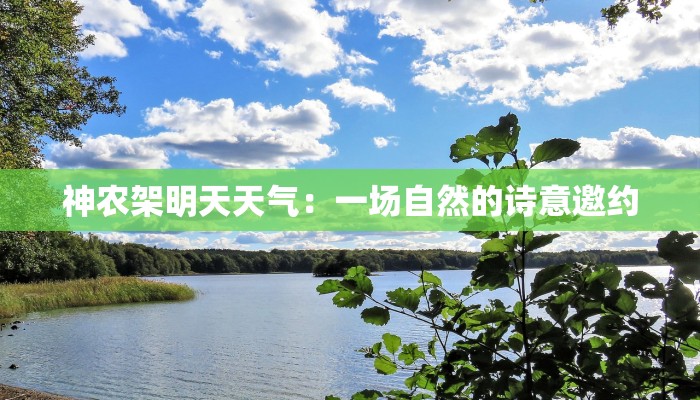 神农架明天天气:一场自然的诗意邀约 神农架明天天气:一场自然的诗意邀约