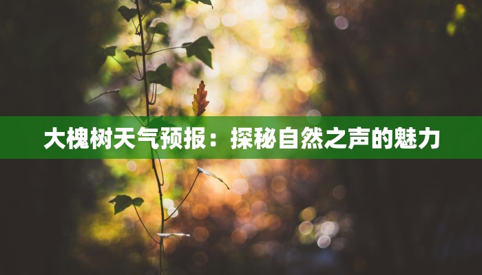 大槐树天气预报:探秘自然之声的魅力 大槐树天气预报:探秘自然之声的魅力