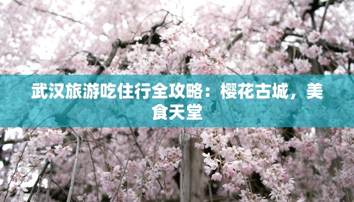 武汉旅游吃住行全攻略:樱花古城,美食天堂 武汉旅游吃住行全攻略:樱花古城,美食天堂