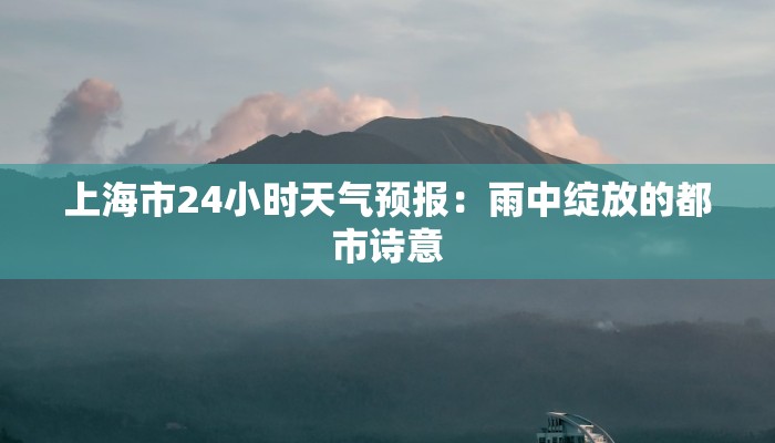 上海市24小时天气预报:雨中绽放的都市诗意 上海市24小时天气预报:雨中绽放的都市诗意