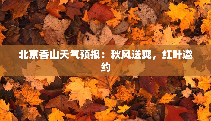 你无声无息舞蹈 你无声无息舞蹈