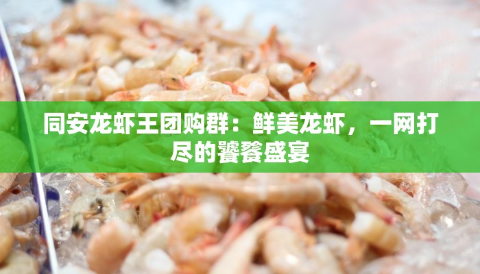 同安龙虾王团购群：鲜美龙虾，一网打尽的饕餮盛宴