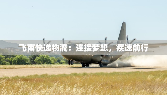 飞南快递物流：连接梦想，疾速前行