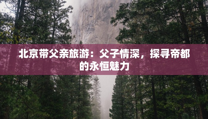 北京带父亲旅游：父子情深，探寻帝都的永恒魅力