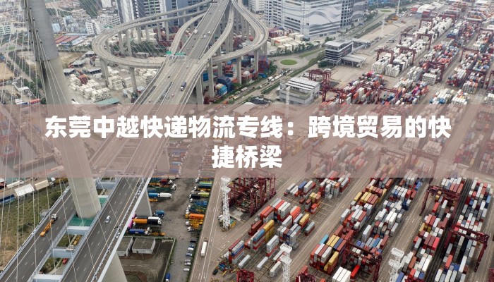 东莞中越快递物流专线:跨境贸易的快捷桥梁 东莞中越快递物流专线:跨境贸易的快捷桥梁