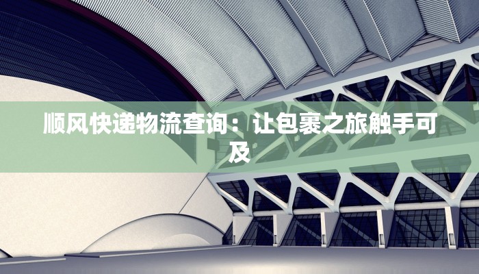 顺风快递物流查询:让包裹之旅触手可及 顺风快递物流查询:让包裹之旅触手可及