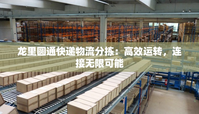 龙里圆通快递物流分拣:高效运转,连接无限可能 龙里圆通快递物流分拣:高效运转,连接无限可能