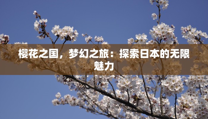 盐城物流快递分拣招聘:抓住机遇,开启你的物流新征程 盐城物流快递分拣招聘:抓住机遇,开启你的物流新征程