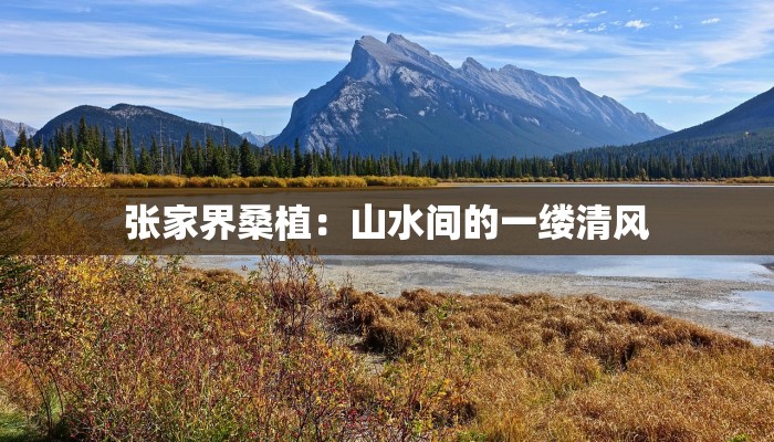 张家界桑植:山水间的一缕清风 张家界桑植:山水间的一缕清风