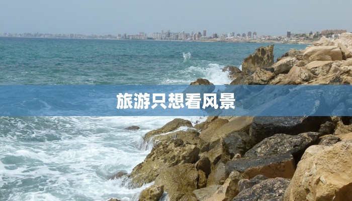 旅游只想看风景 旅游只想看风景