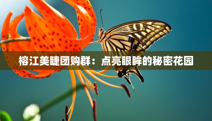 榕江美睫团购群:点亮眼眸的秘密花园 榕江美睫团购群:点亮眼眸的秘密花园