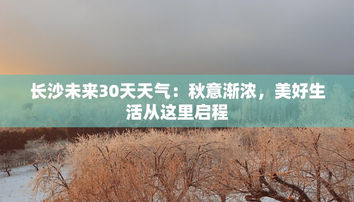梧州疫情最新情况最新 梧州疫情最新情况最新
