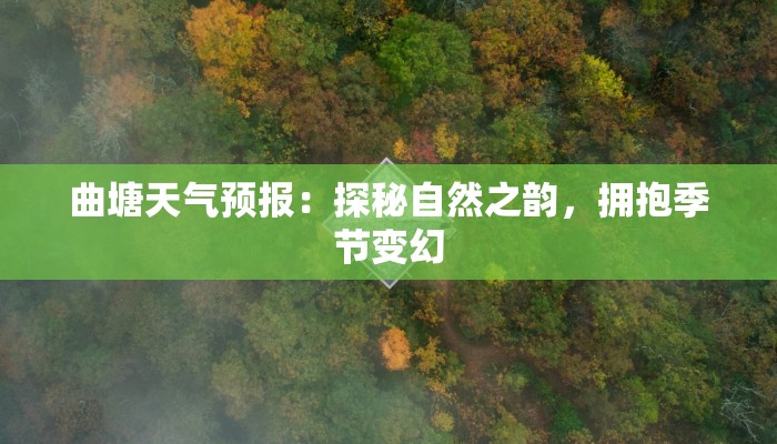 曲塘天气预报:探秘自然之韵,拥抱季节变幻 曲塘天气预报:探秘自然之韵,拥抱季节变幻