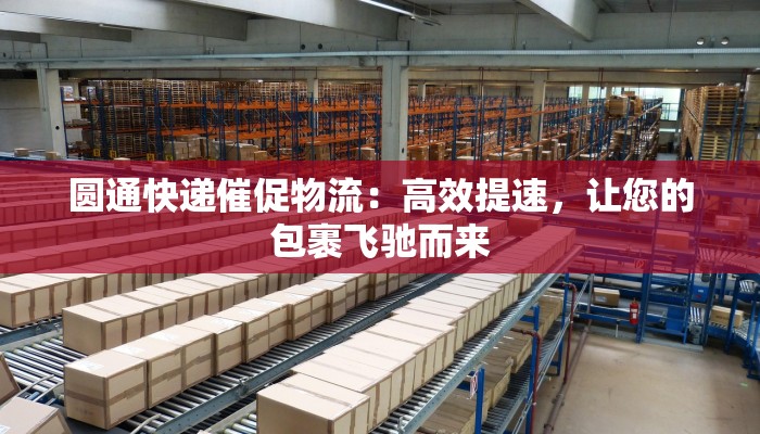 圆通快递催促物流:高效提速,让您的包裹飞驰而来 圆通快递催促物流:高效提速,让您的包裹飞驰而来