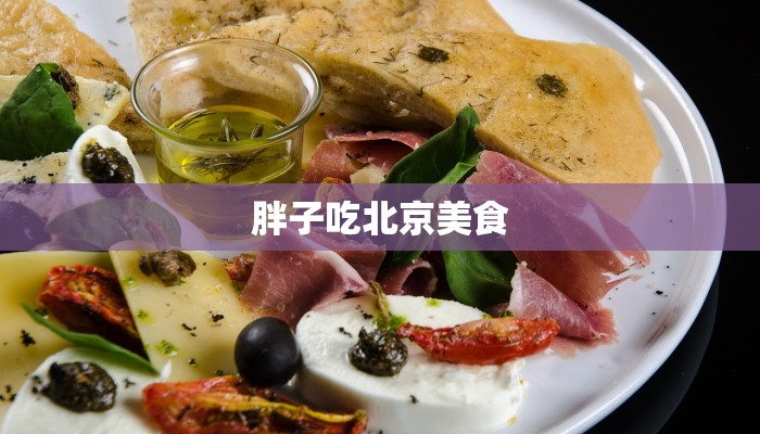 胖子吃北京美食 胖子吃北京美食
