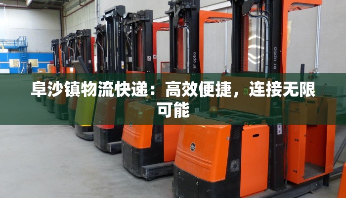 阜沙镇物流快递：高效便捷，连接无限可能