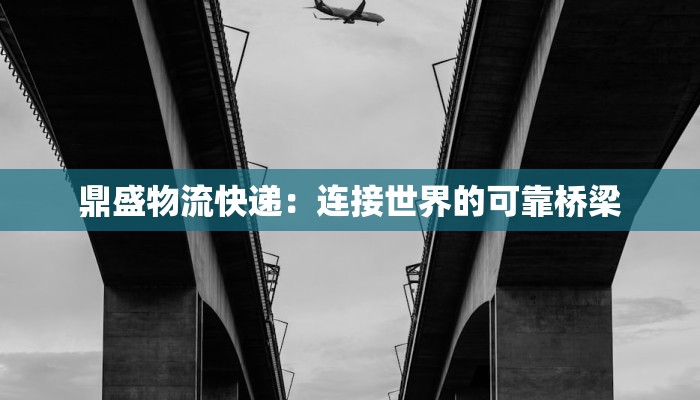 鼎盛物流快递：连接世界的可靠桥梁