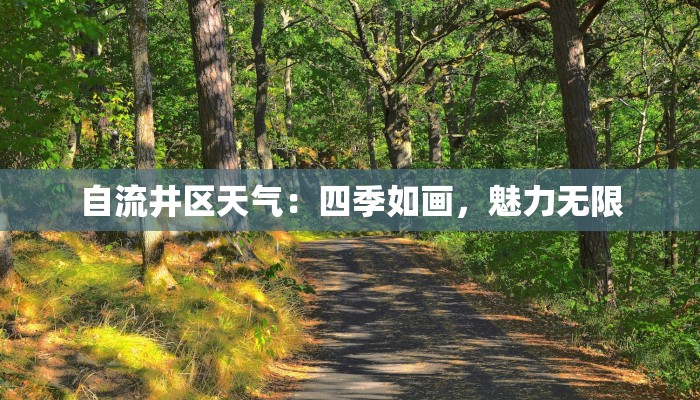 自流井区天气：四季如画，魅力无限