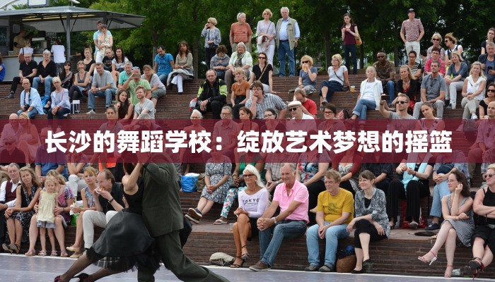 长沙的舞蹈学校:绽放艺术梦想的摇篮 长沙的舞蹈学校:绽放艺术梦想的摇篮