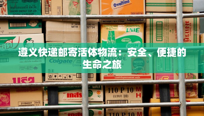 遵义快递邮寄活体物流:安全、便捷的生命之旅 遵义快递邮寄活体物流:安全、便捷的生命之旅