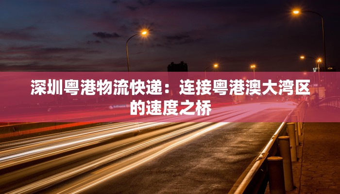 深圳粤港物流快递：连接粤港澳大湾区的速度之桥
