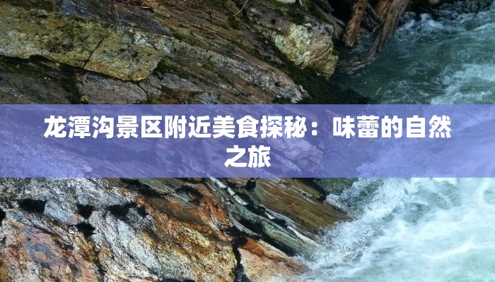 龙潭沟景区附近美食探秘:味蕾的自然之旅 龙潭沟景区附近美食探秘:味蕾的自然之旅