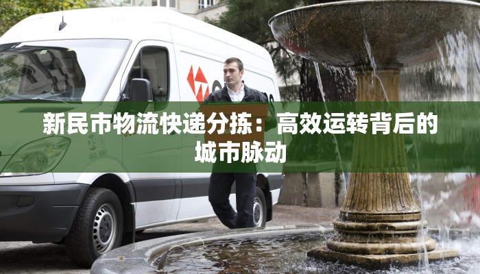 新民市物流快递分拣：高效运转背后的城市脉动