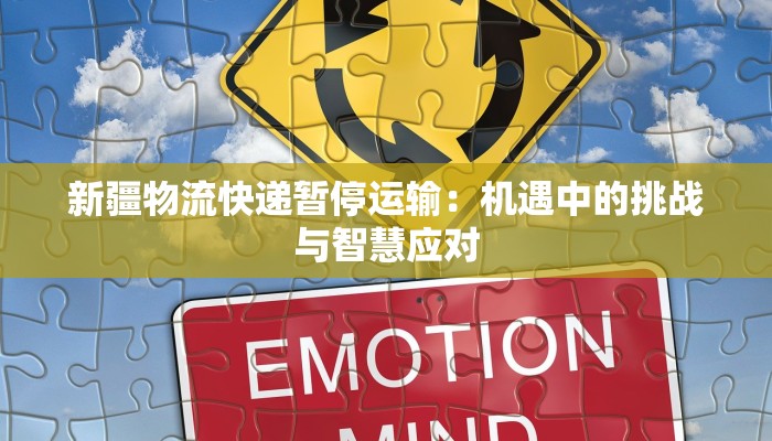 新疆物流快递暂停运输：机遇中的挑战与智慧应对