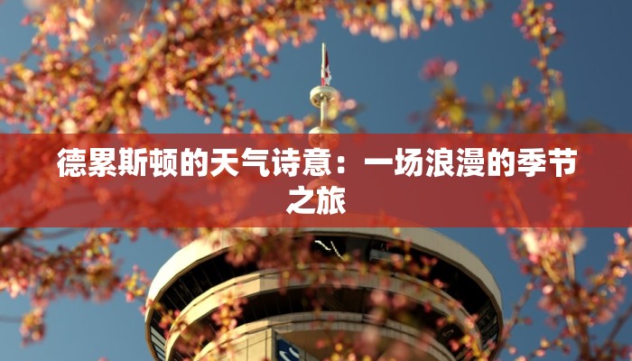 德累斯顿的天气诗意：一场浪漫的季节之旅