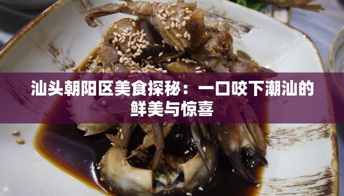 汕头朝阳区美食探秘：一口咬下潮汕的鲜美与惊喜