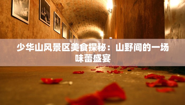 少华山风景区美食探秘：山野间的一场味蕾盛宴