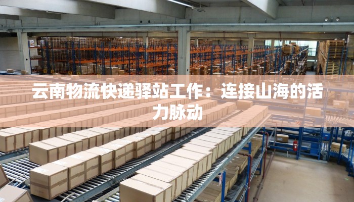云南物流快递驿站工作：连接山海的活力脉动