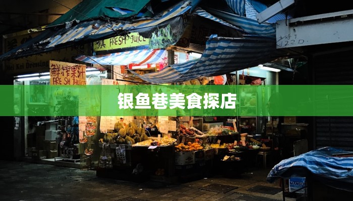 银鱼巷美食探店