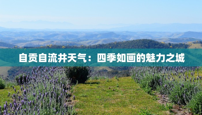 自贡自流井天气:四季如画的魅力之城 自贡自流井天气:四季如画的魅力之城