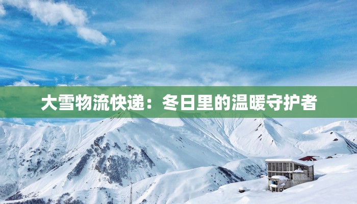 大雪物流快递：冬日里的温暖守护者