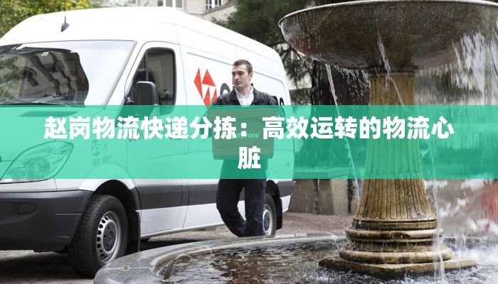 赵岗物流快递分拣：高效运转的物流心脏