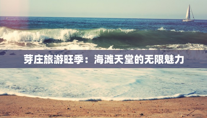 芽庄旅游旺季:海滩天堂的无限魅力 芽庄旅游旺季:海滩天堂的无限魅力
