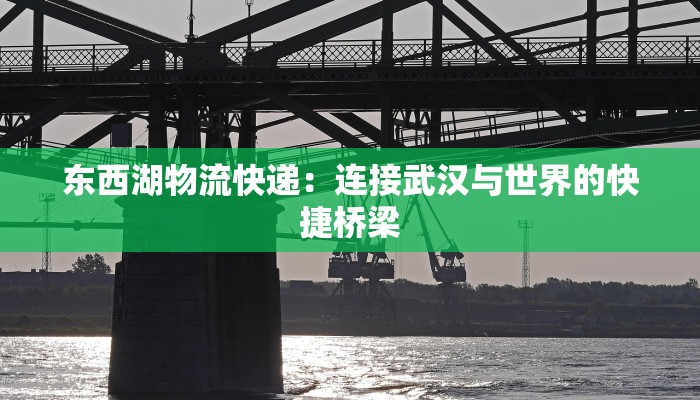 东西湖物流快递：连接武汉与世界的快捷桥梁