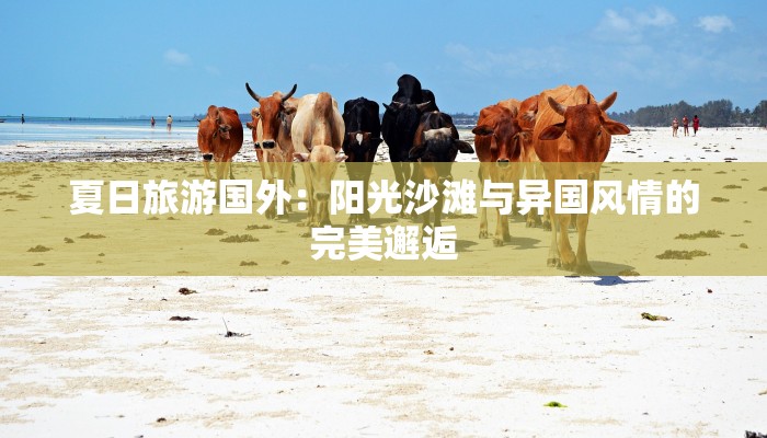 夏日旅游国外:阳光沙滩与异国风情的完美邂逅 夏日旅游国外:阳光沙滩与异国风情的完美邂逅
