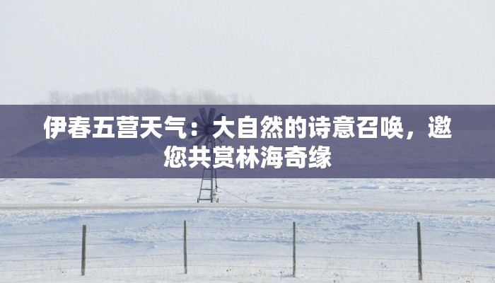 伊春五营天气:大自然的诗意召唤,邀您共赏林海奇缘 伊春五营天气:大自然的诗意召唤,邀您共赏林海奇缘