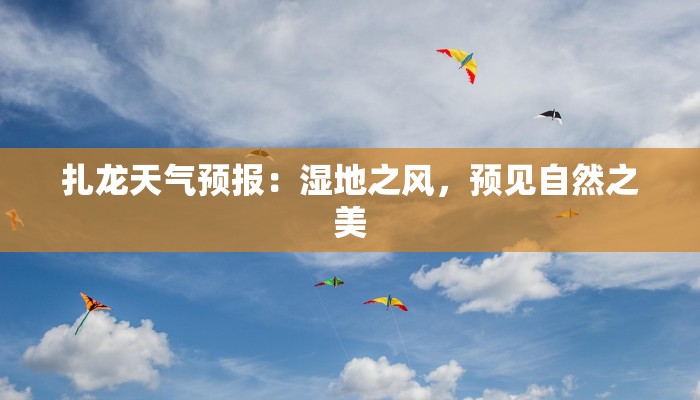 扎龙天气预报:湿地之风,预见自然之美 扎龙天气预报:湿地之风,预见自然之美