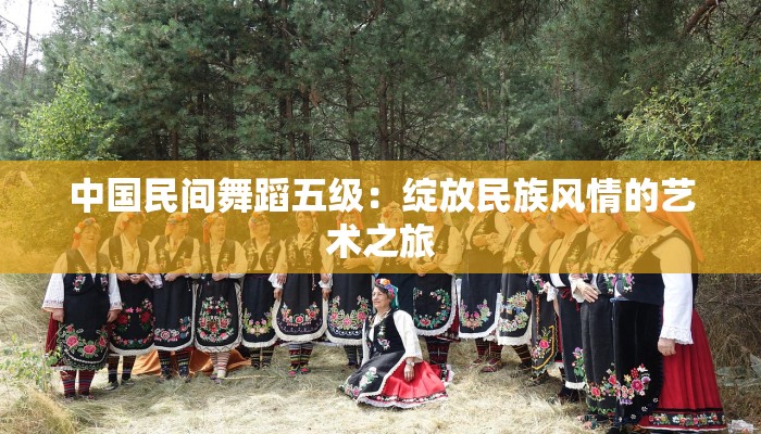 中国民间舞蹈五级:绽放民族风情的艺术之旅 中国民间舞蹈五级:绽放民族风情的艺术之旅