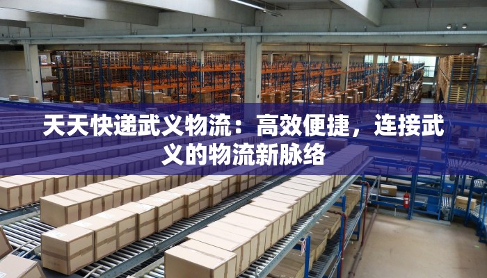 天天快递武义物流:高效便捷,连接武义的物流新脉络 天天快递武义物流:高效便捷,连接武义的物流新脉络