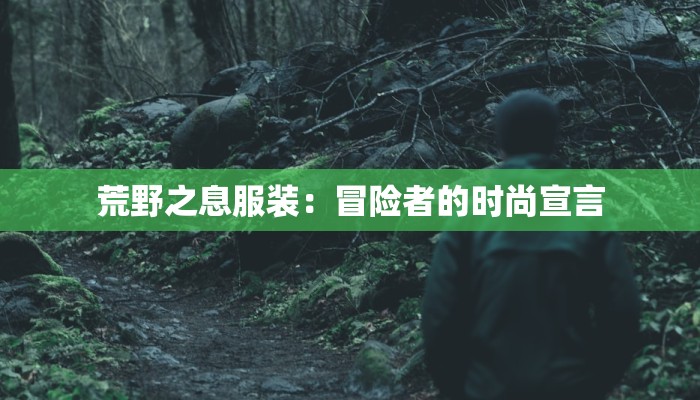 荒野之息服装:冒险者的时尚宣言 荒野之息服装:冒险者的时尚宣言