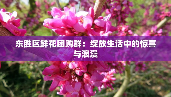东胜区鲜花团购群:绽放生活中的惊喜与浪漫 东胜区鲜花团购群:绽放生活中的惊喜与浪漫