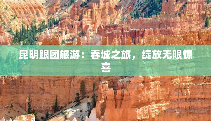 昆明跟团旅游:春城之旅,绽放无限惊喜 昆明跟团旅游:春城之旅,绽放无限惊喜