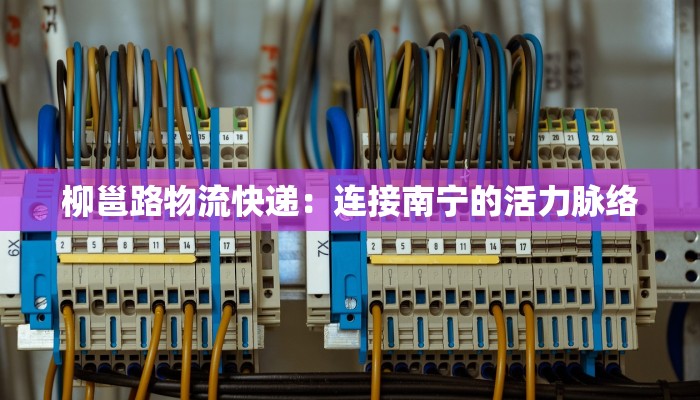 柳邕路物流快递:连接南宁的活力脉络 柳邕路物流快递:连接南宁的活力脉络