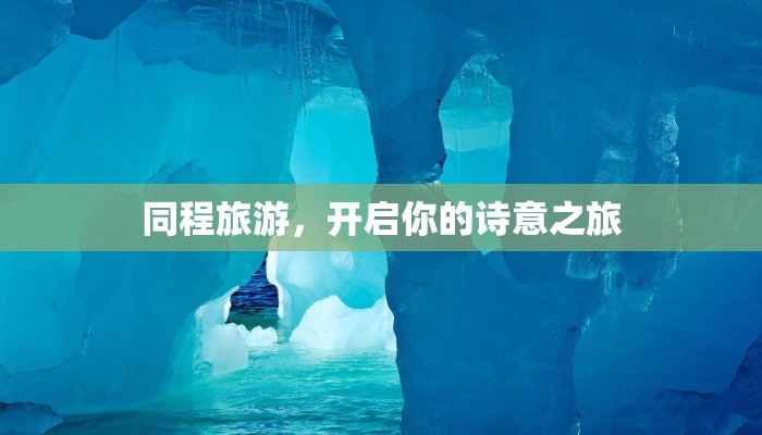 蝴蝶服装品牌商标:翩翩起舞的时尚印记 蝴蝶服装品牌商标:翩翩起舞的时尚印记