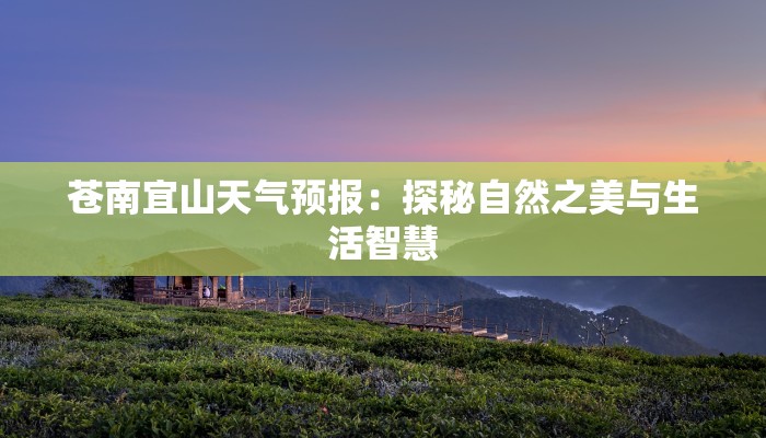 苍南宜山天气预报:探秘自然之美与生活智慧 苍南宜山天气预报:探秘自然之美与生活智慧